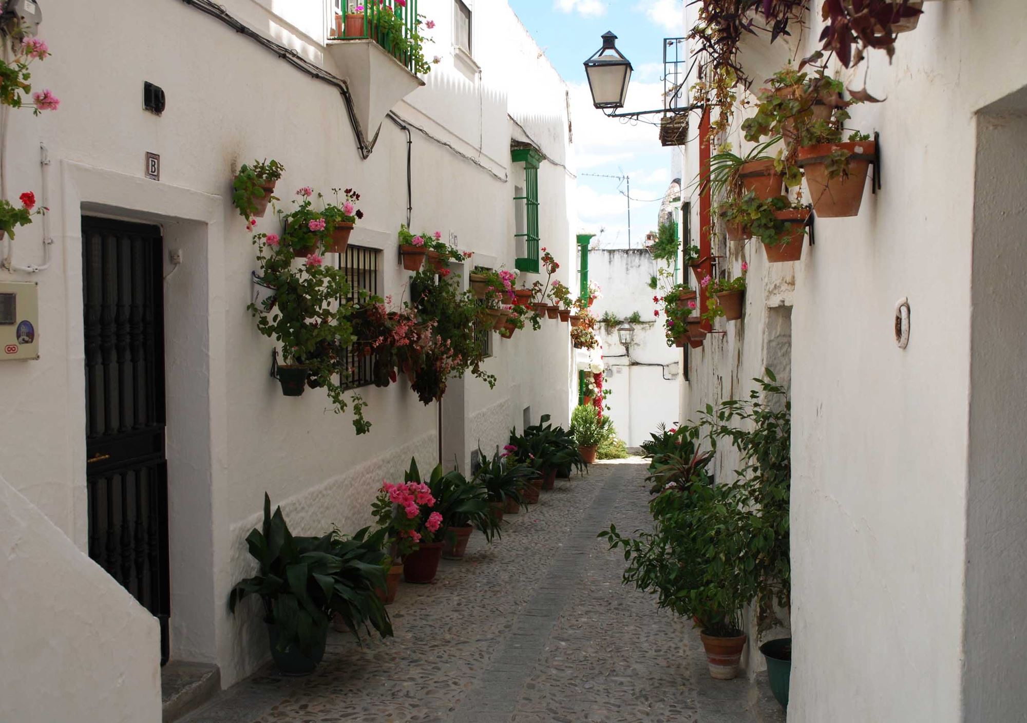 visitas a Arcos de la Frontera Cádiz